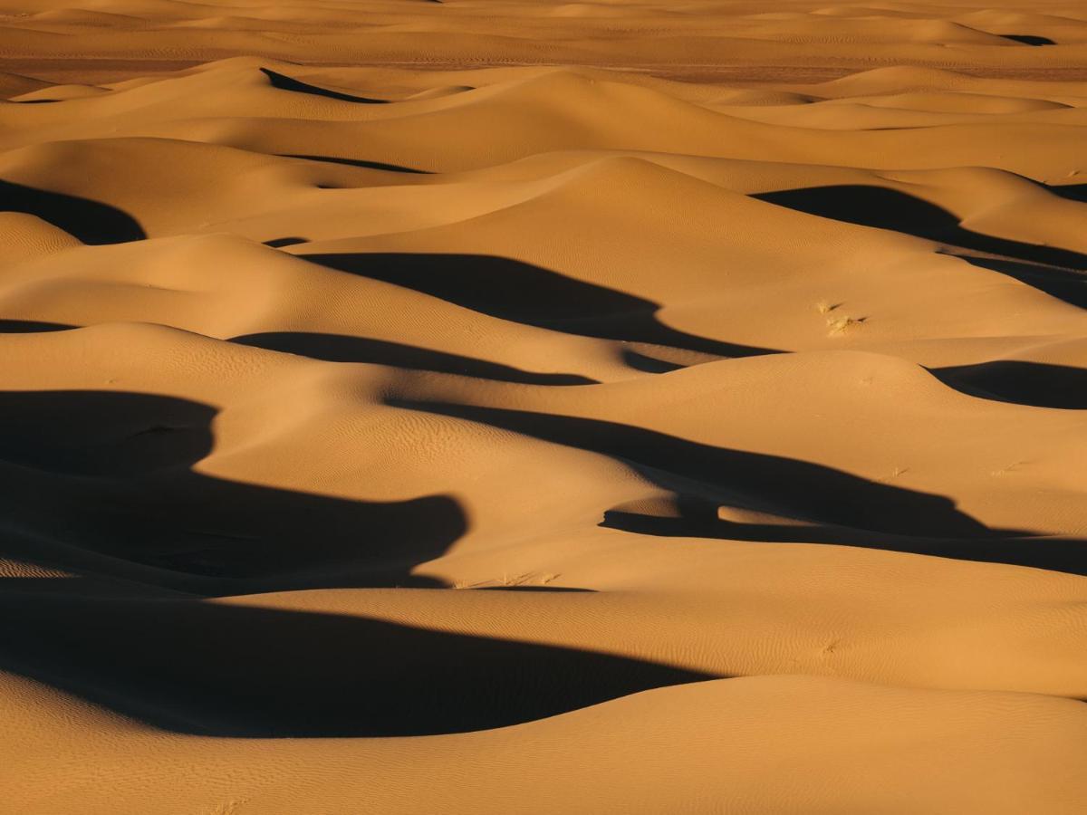 فندق Bivouac Les Nomades & Foum Zguid To Chegaga Tours المظهر الخارجي الصورة