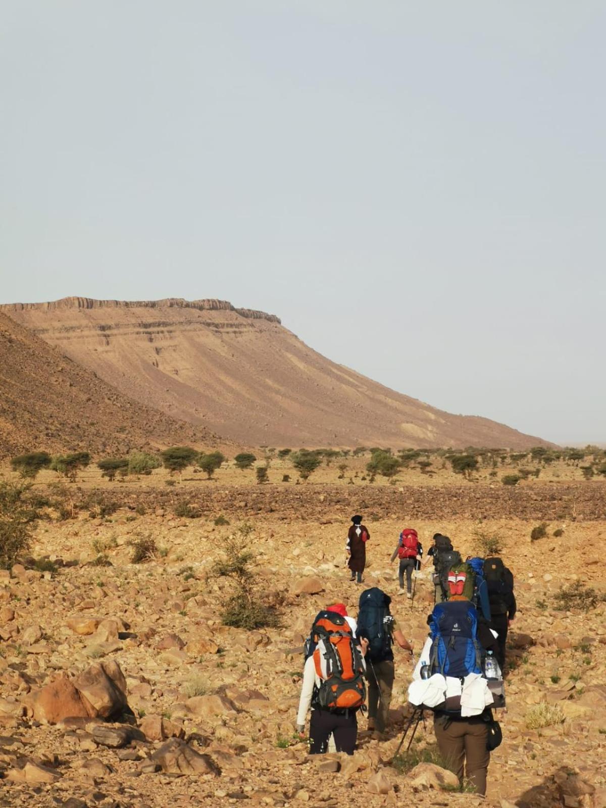فندق Bivouac Les Nomades & Foum Zguid To Chegaga Tours المظهر الخارجي الصورة