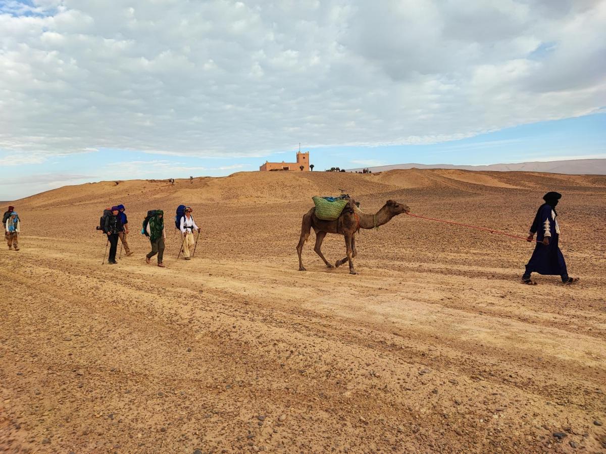 فندق Bivouac Les Nomades & Foum Zguid To Chegaga Tours المظهر الخارجي الصورة