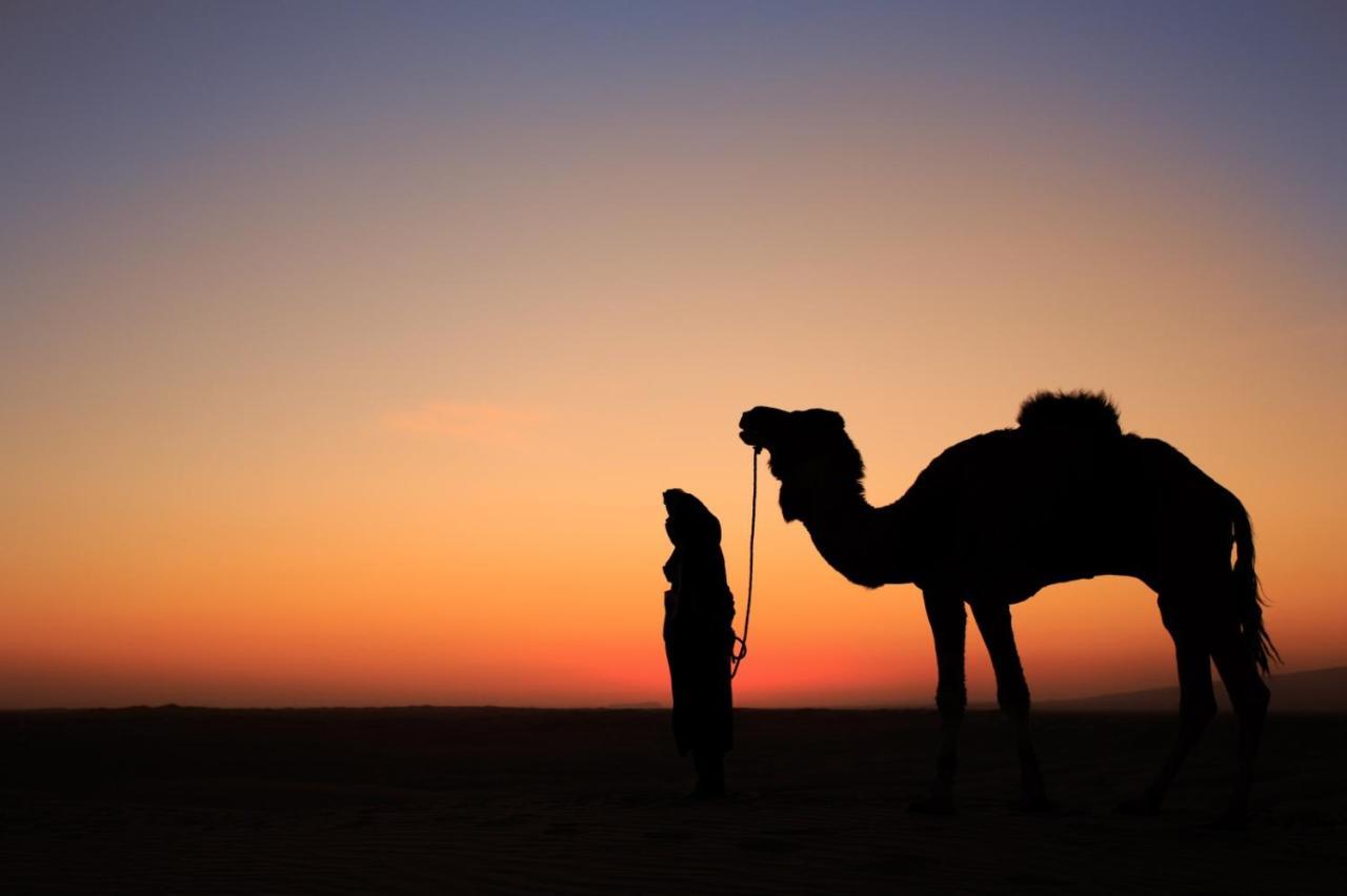 فندق Bivouac Les Nomades & Foum Zguid To Chegaga Tours المظهر الخارجي الصورة
