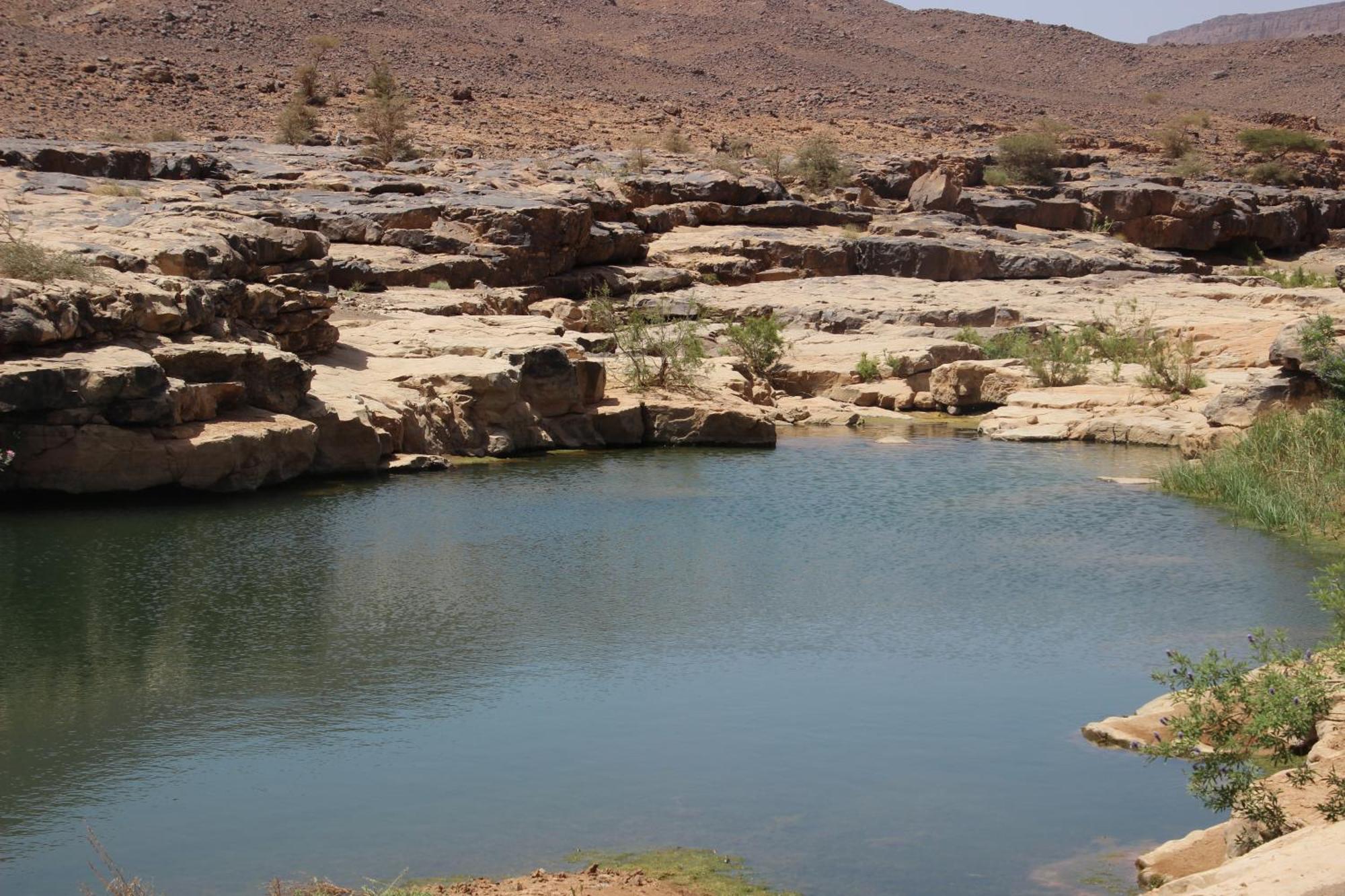 فندق Bivouac Les Nomades & Foum Zguid To Chegaga Tours المظهر الخارجي الصورة