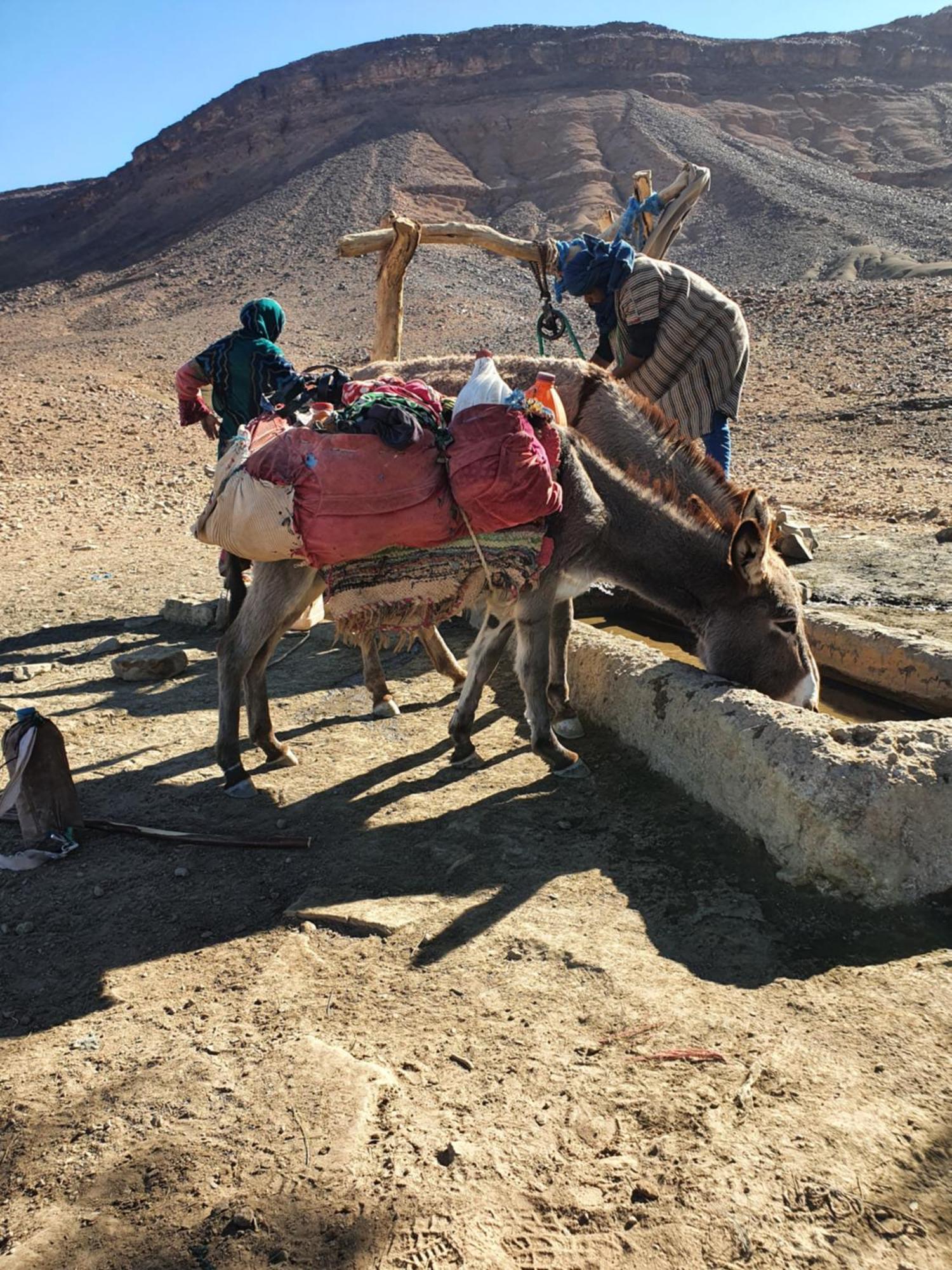 فندق Bivouac Les Nomades & Foum Zguid To Chegaga Tours المظهر الخارجي الصورة