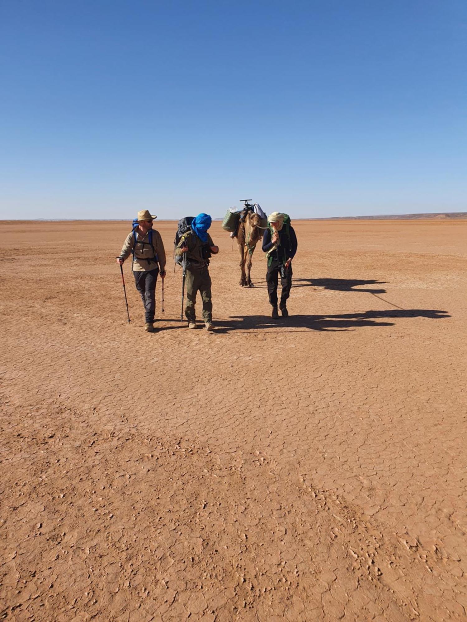 فندق Bivouac Les Nomades & Foum Zguid To Chegaga Tours المظهر الخارجي الصورة