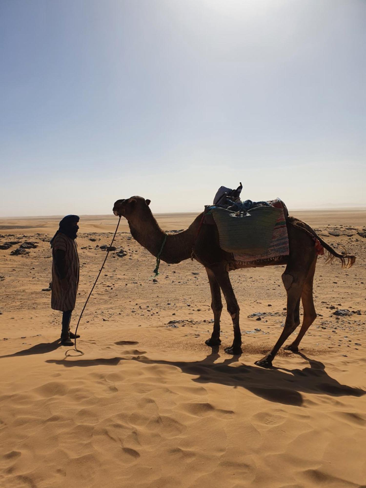 فندق Bivouac Les Nomades & Foum Zguid To Chegaga Tours المظهر الخارجي الصورة