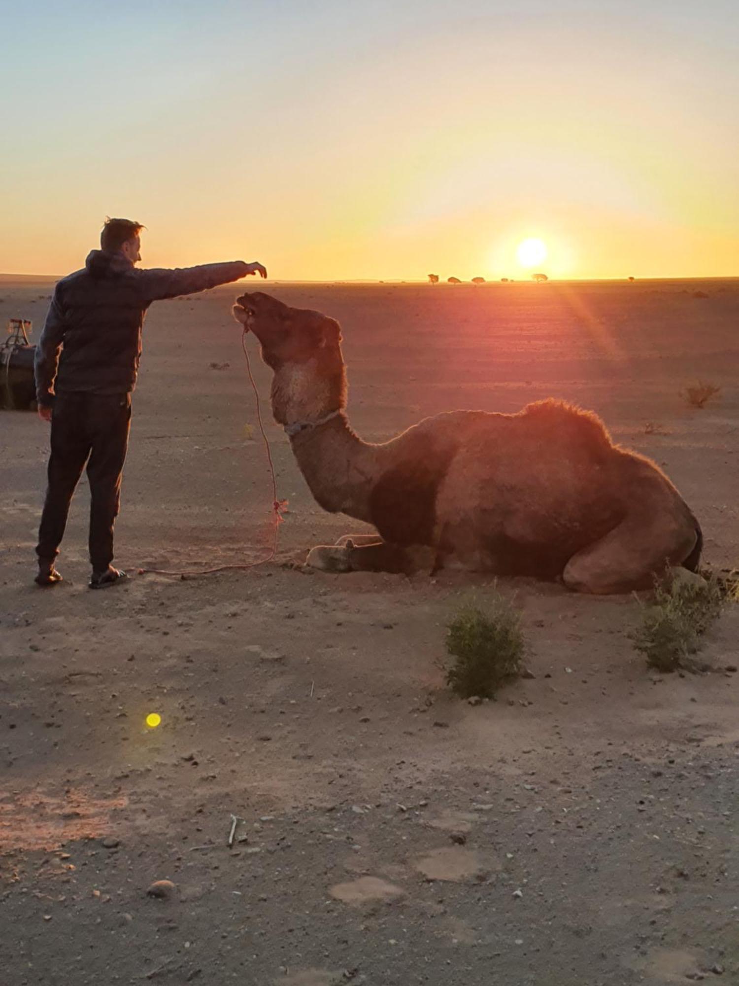 فندق Bivouac Les Nomades & Foum Zguid To Chegaga Tours المظهر الخارجي الصورة