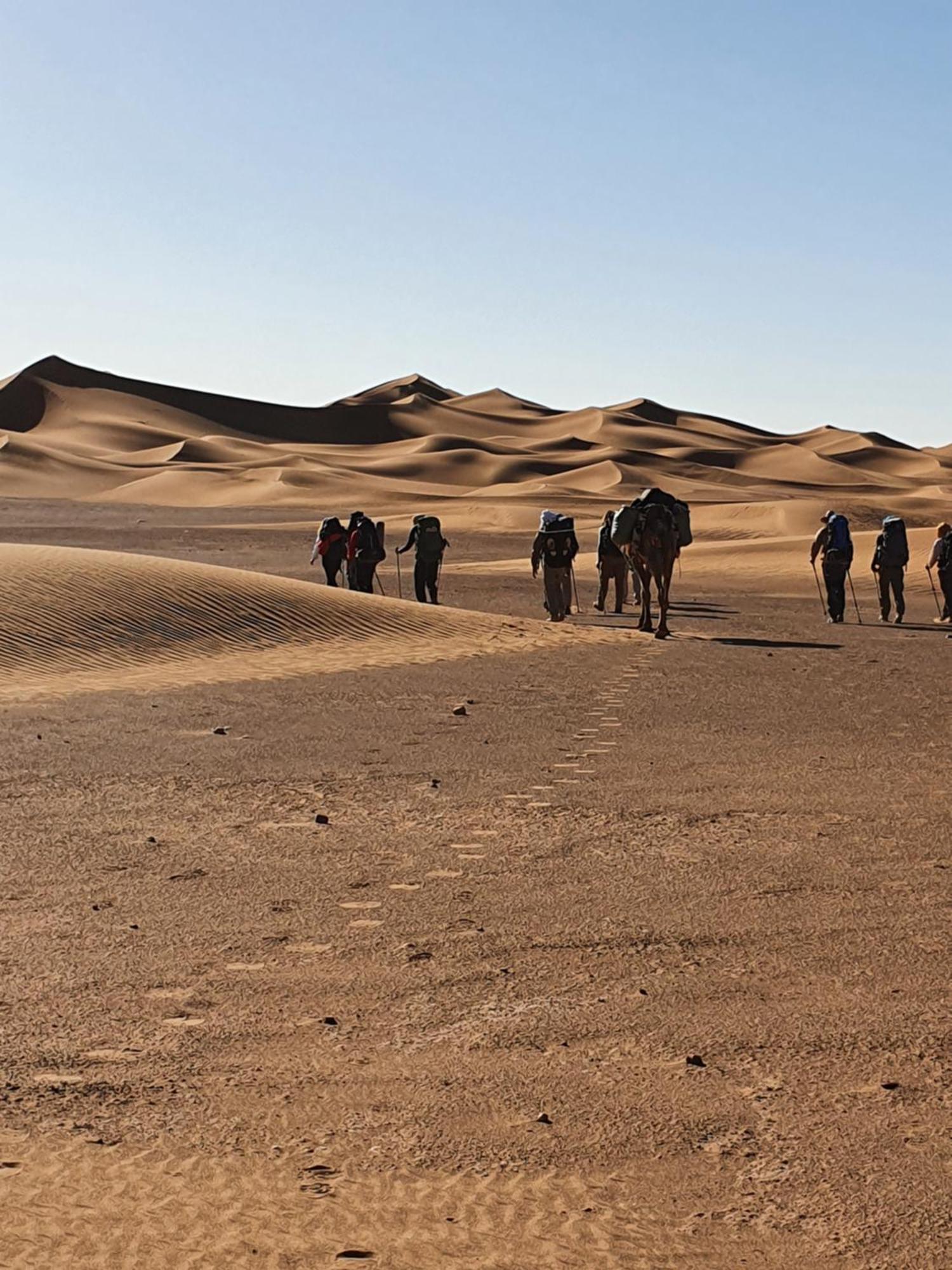 فندق Bivouac Les Nomades & Foum Zguid To Chegaga Tours المظهر الخارجي الصورة