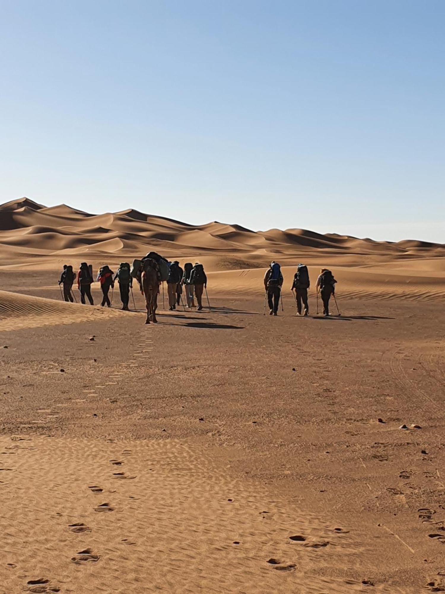 فندق Bivouac Les Nomades & Foum Zguid To Chegaga Tours المظهر الخارجي الصورة